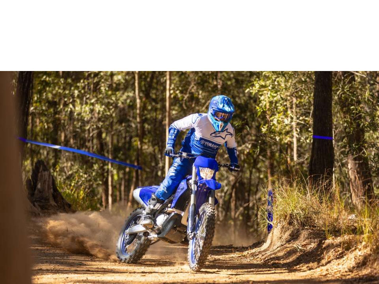 Мотоцикл YAMAHA WR450F (Icon Blue) 2024